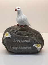 Dove sitting on a rock